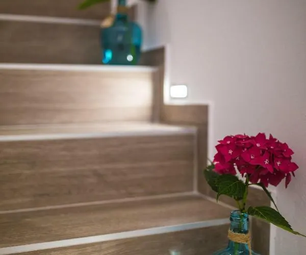 Arena Center Apartman